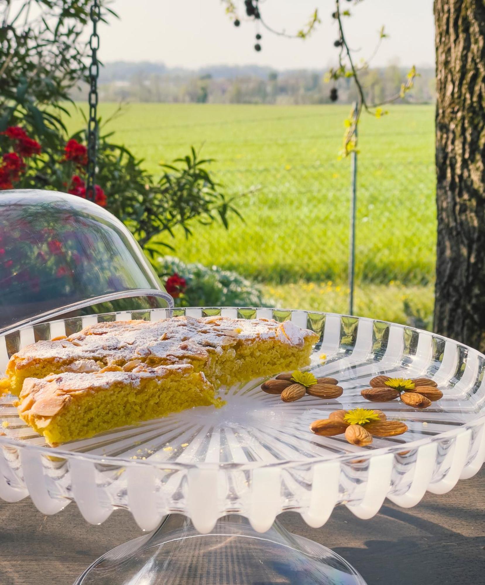 Agriturismo" Il Glicine Bianco" มอนซามบาโน ภายนอก รูปภาพ