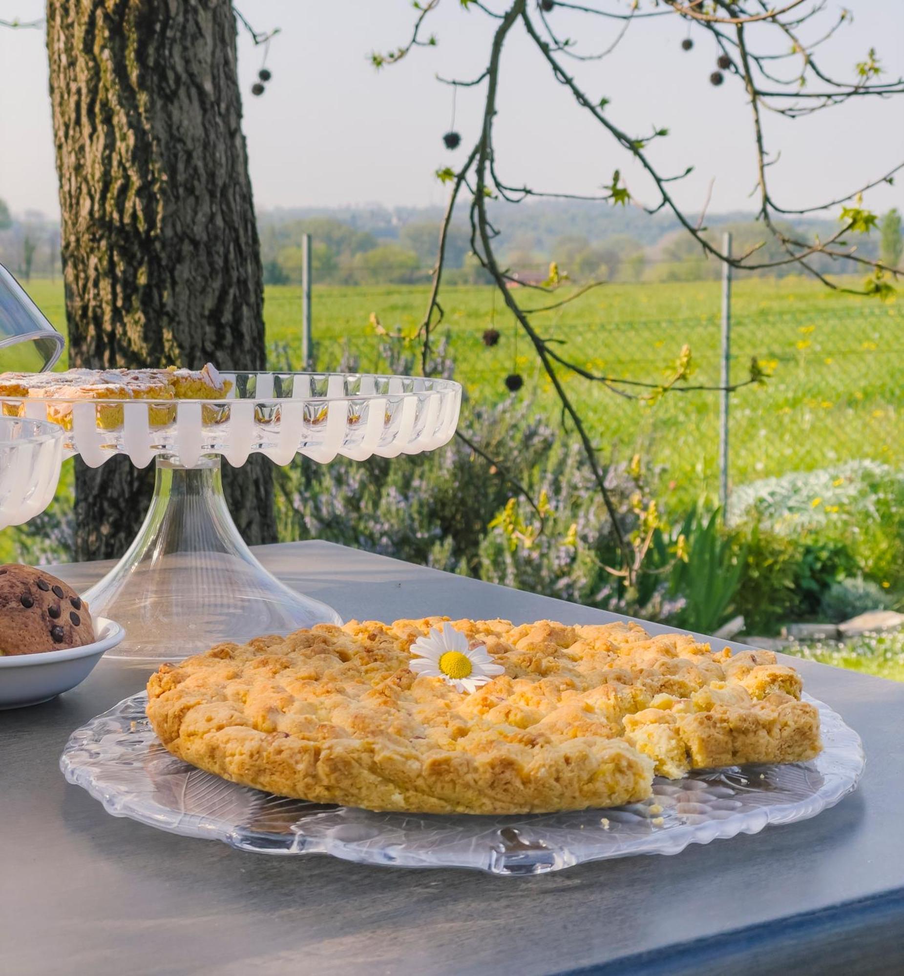 Agriturismo" Il Glicine Bianco" มอนซามบาโน ภายนอก รูปภาพ