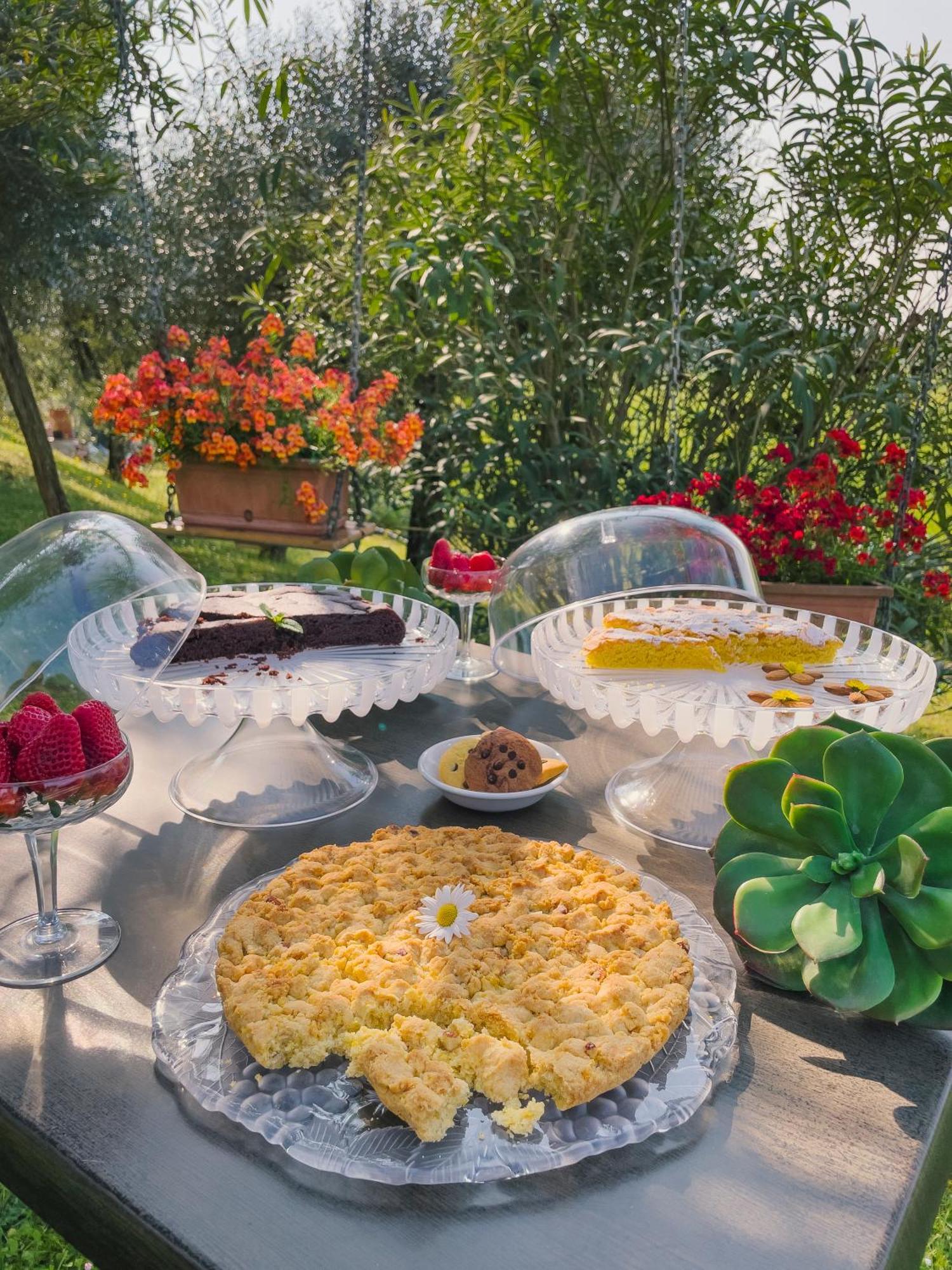 Agriturismo" Il Glicine Bianco" มอนซามบาโน ภายนอก รูปภาพ