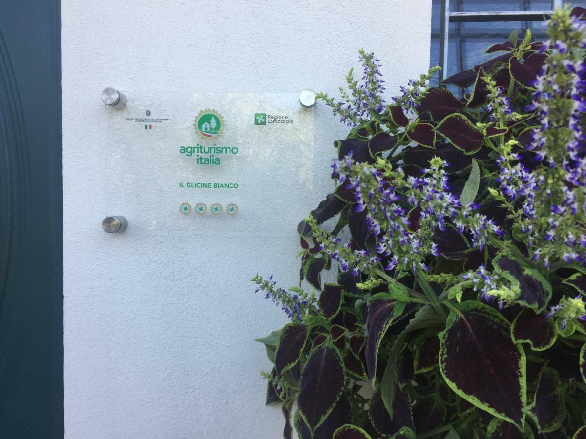 Agriturismo" Il Glicine Bianco" มอนซามบาโน ภายนอก รูปภาพ